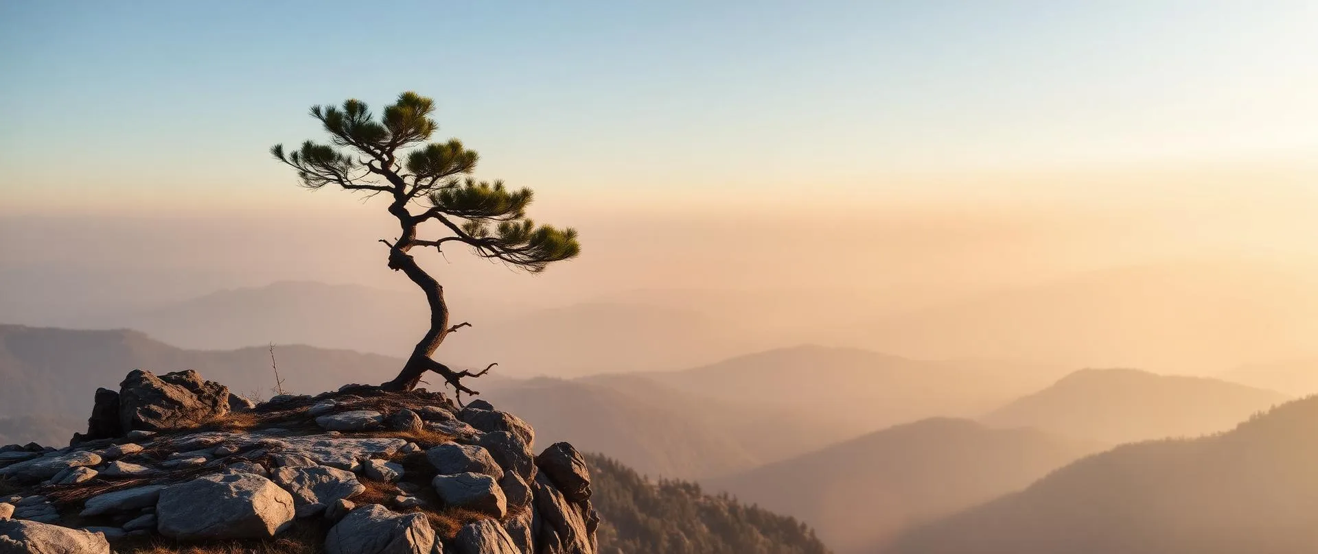 A solitary pine on a rocky outcrop above layered misty mountain ridges at soft sunrise